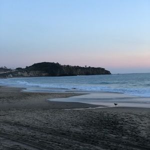 Meet your Posher, Niknikole